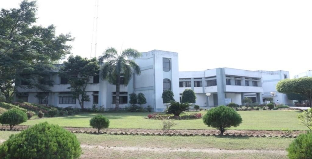 NEIBM Complex